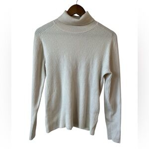 Everlane Ribbed Wool Turtleneck Sweater Size XL